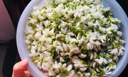 槐花焯水好还是不焯水好