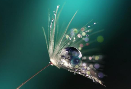 2021白露当天下雨好还是晴天好