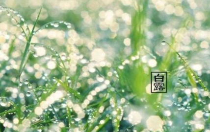 2021白露当天下雨好还是晴天好