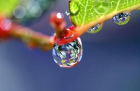 2021白露当天下雨好还是晴天好