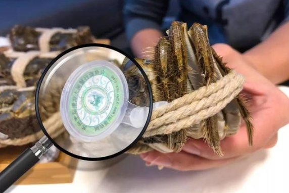 阳澄湖大闸蟹都有吊牌吗