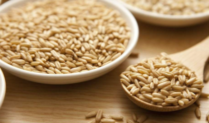 燕麦冲着吃还是煮着吃