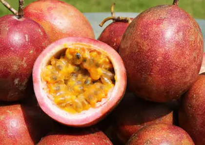 百香果哪种颜色的好吃