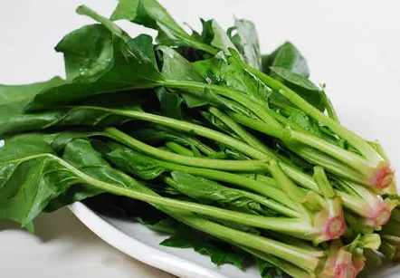 菠菜出苗率低怎么办