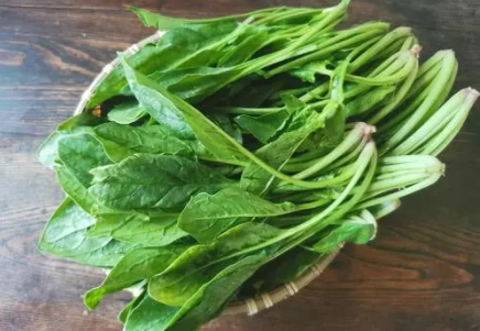 菠菜出苗率低怎么办