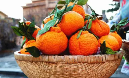 丑橘红皮和黄皮哪种好