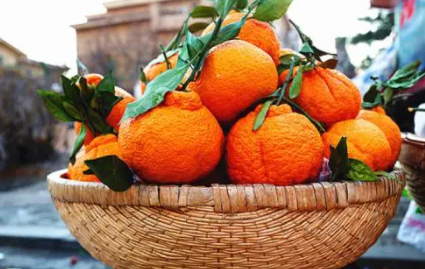 丑橘红皮和黄皮哪种好