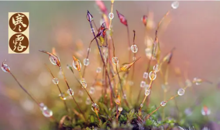 2021寒露过后是不是下雨少了