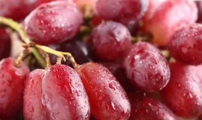 常温下提子封闭好还是开口好