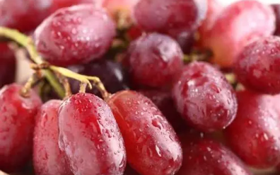 刚买的提子有酒味是坏了吗