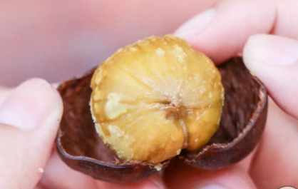 板栗煮熟怎么去皮和壳