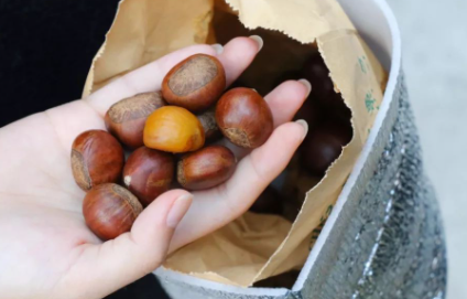 板栗煮熟怎么去皮和壳