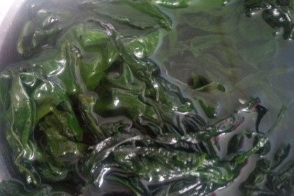 大片海带怎么储藏