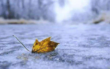 今日立冬几点几分交节2022