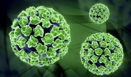 40岁千万不要打宫颈癌疫苗有什么说法