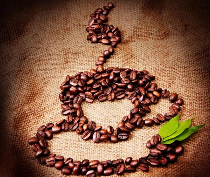 什么样的咖啡豆才算是好豆子