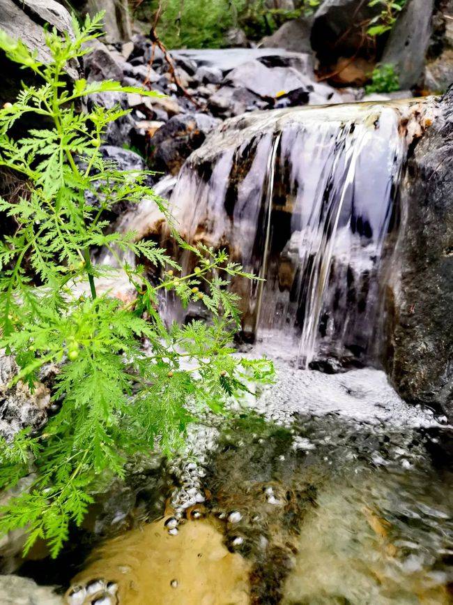 神农山风景区(灵秀神农山)