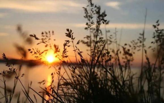 诗中有画画中有诗（王维最美的16句经典唐诗）