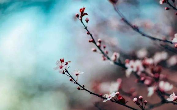 诗中有画画中有诗（王维最美的16句经典唐诗）