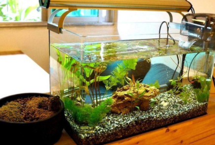 鱼缸断电一晚上鱼会死吗