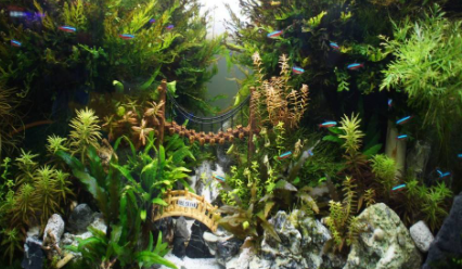 鱼缸断电一晚上鱼会死吗