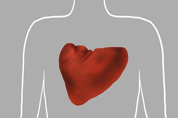 白术茯苓(茯苓白术怎么吃?)