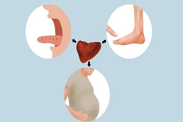 白术茯苓(茯苓白术怎么吃?)