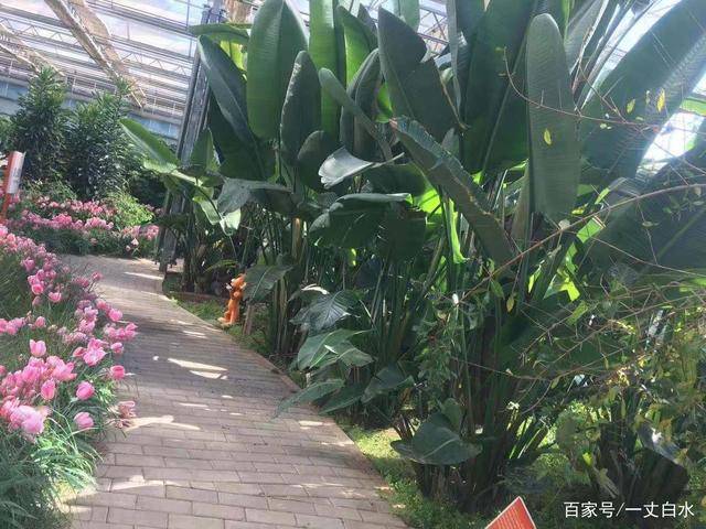 经典散文诗歌（惊蛰优美散文诗行）