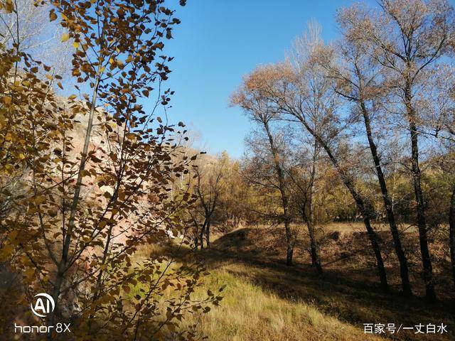 经典散文诗歌（惊蛰优美散文诗行）