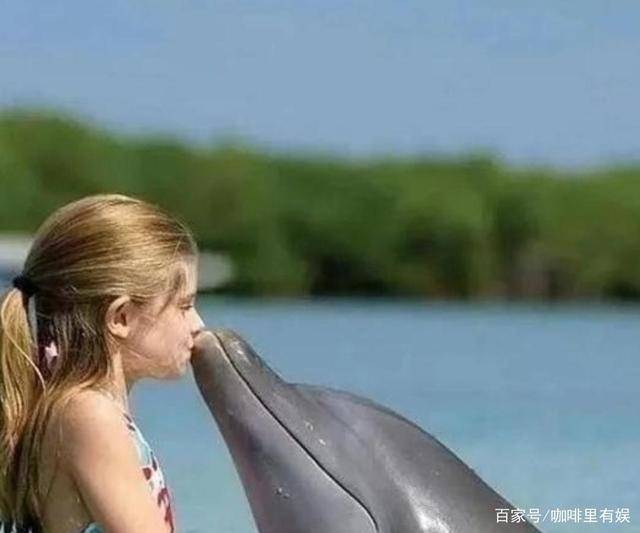 海豚救人(海豚救人是天性使然?)