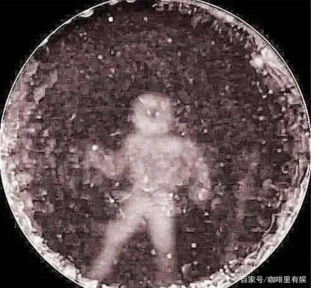 海豚救人(海豚救人是天性使然?)