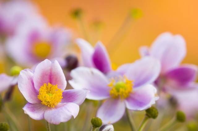 道德滑坡(是我们今天道德滑坡的根本原因)