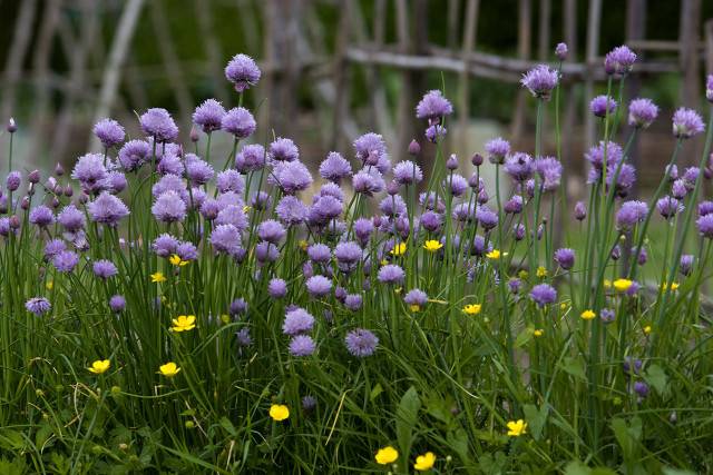 道德滑坡(是我们今天道德滑坡的根本原因)
