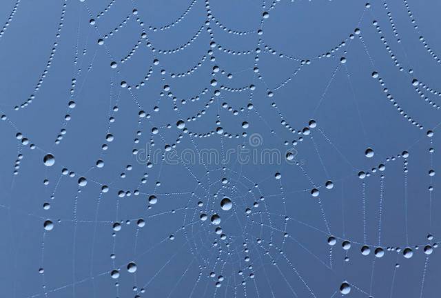 道德滑坡(是我们今天道德滑坡的根本原因)