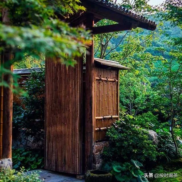 一杯清茶(一杯清茶,一阵清凉)