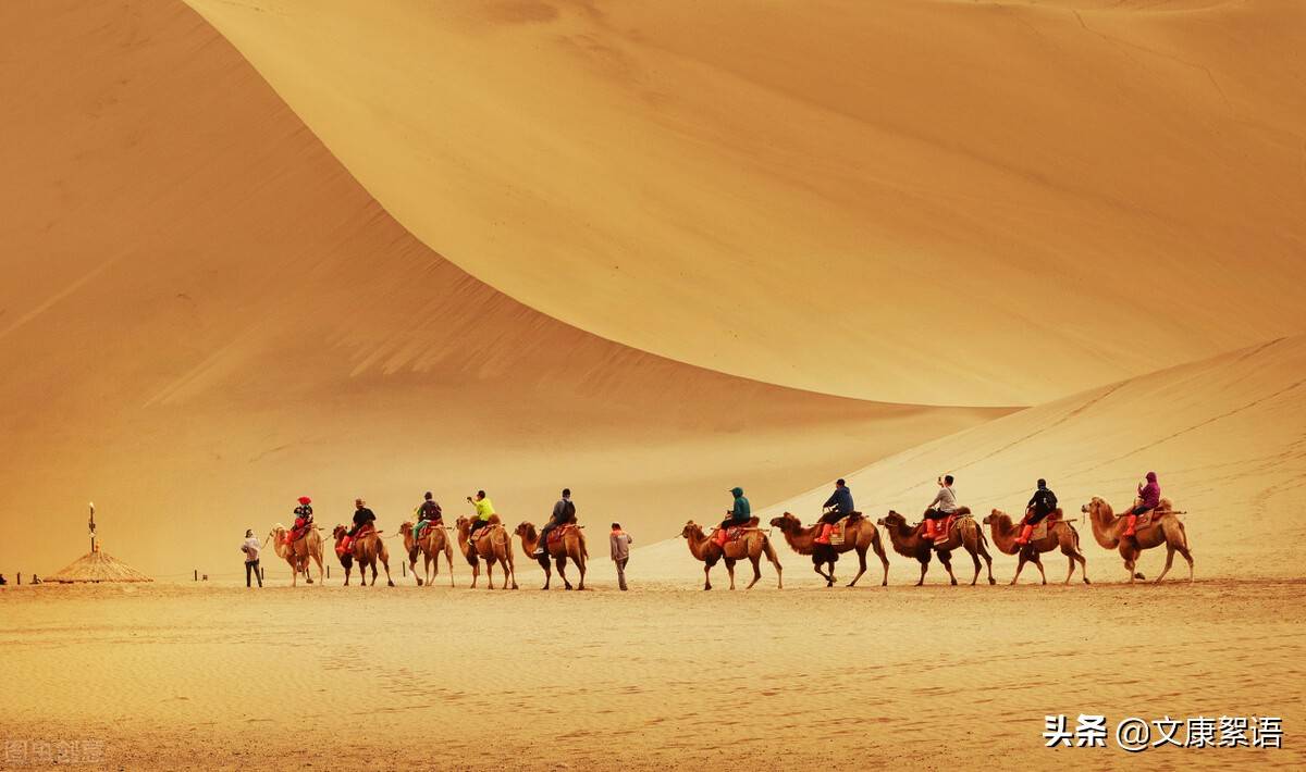 等到风景都看透(千帆过后只有你)