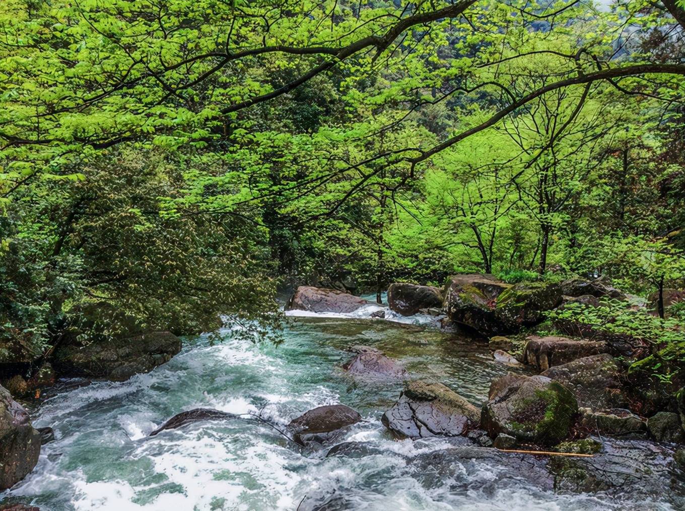 千岛湖自助游(千岛湖游玩攻略)