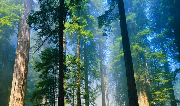 千岛湖自助游(千岛湖游玩攻略)