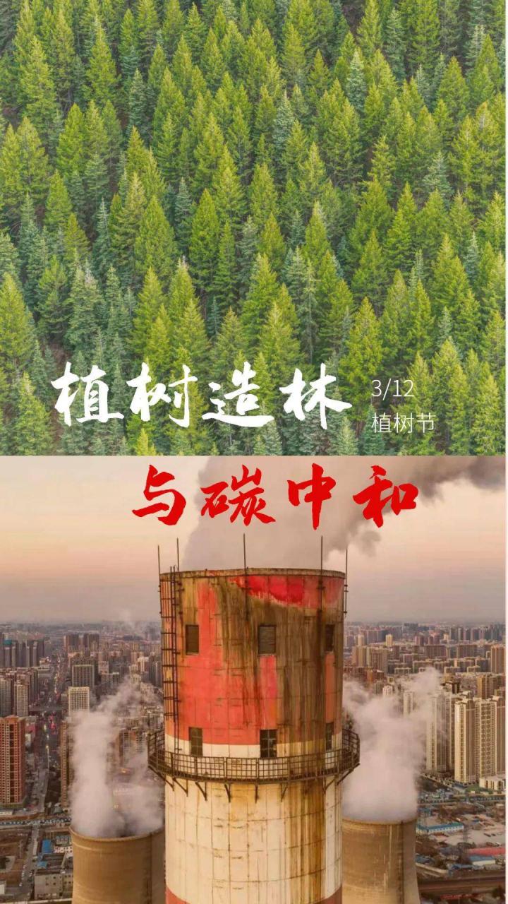 植树造林的意义(植树节活动的目的及意义)