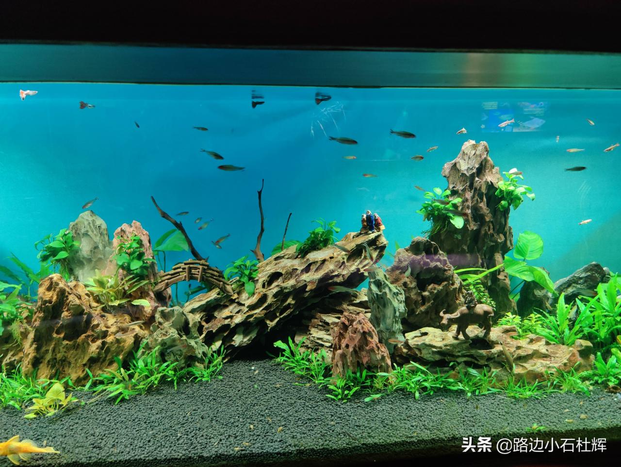 北京太平洋海底世界（北京三个海洋馆哪个好）