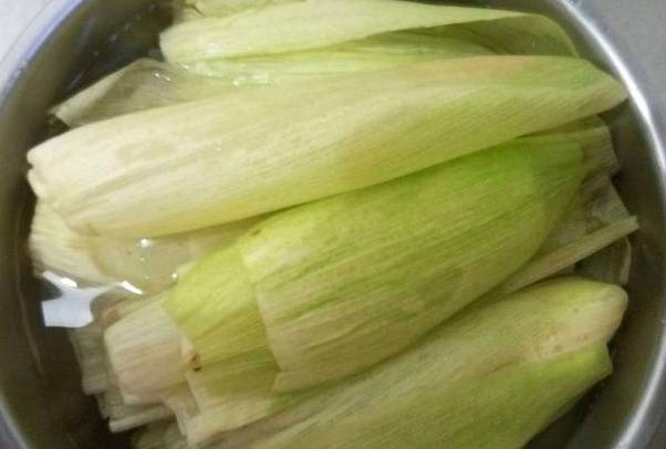 粽子叶是什么植物的叶子（能包粽子的树叶，你认识几种？）