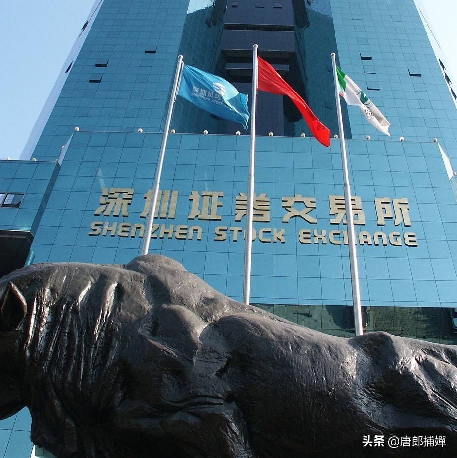 什么叫ipo(一文读懂什么是IPO)