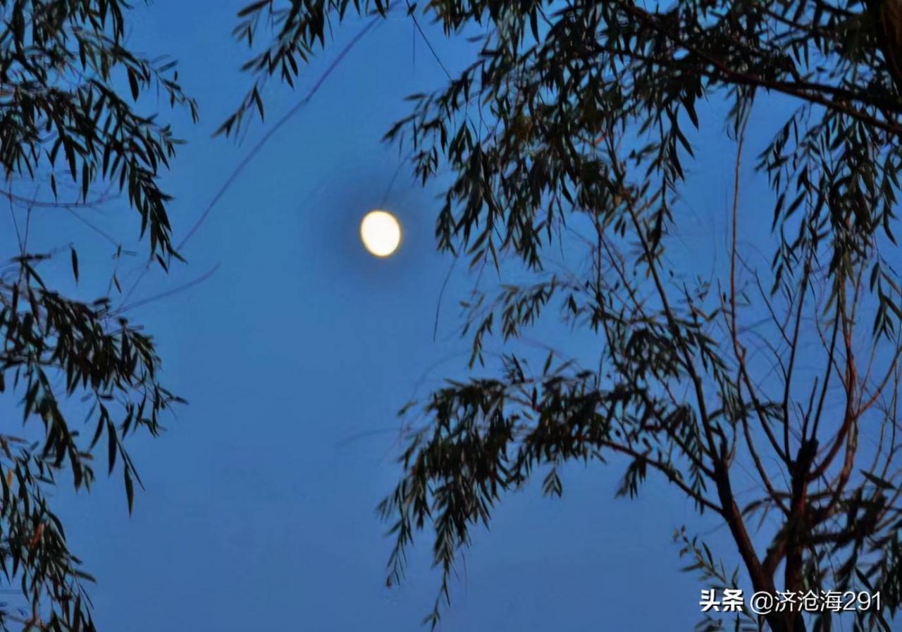 梅子金黄杏子肥全诗（梅子金黄杏子肥四时田园杂兴）