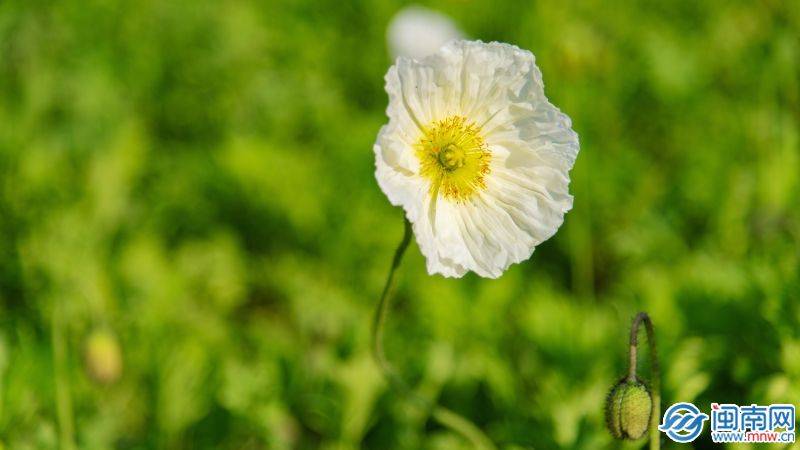 520怎么发朋友圈?(521发朋友圈的句子)