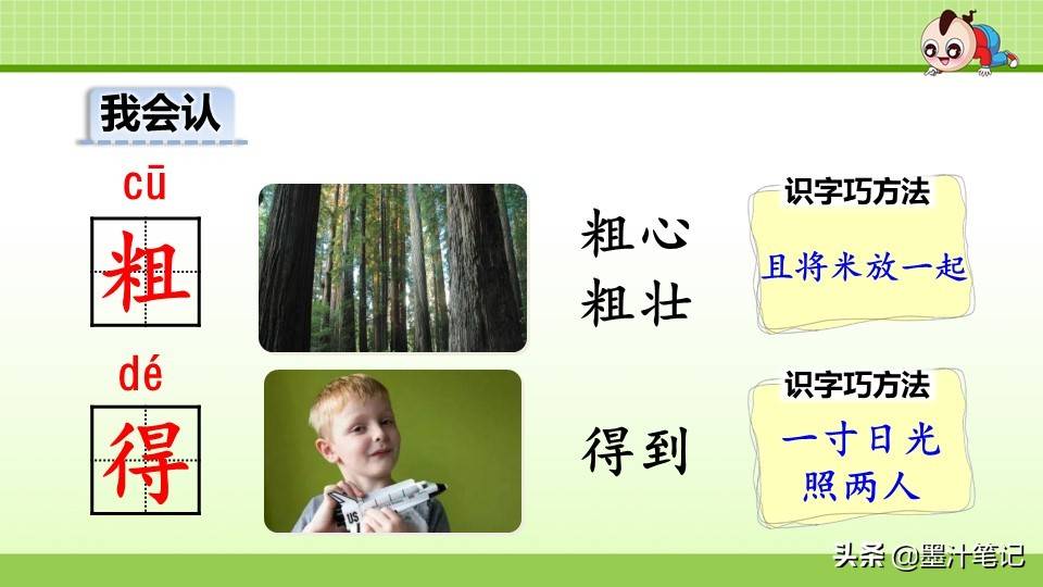 写植物传播种子的方法（植物种子有哪些传播方式）