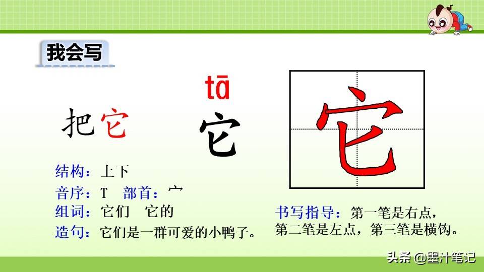 写植物传播种子的方法（植物种子有哪些传播方式）