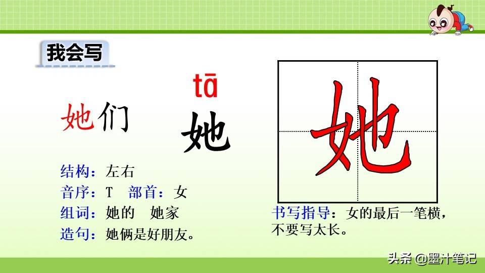 写植物传播种子的方法（植物种子有哪些传播方式）
