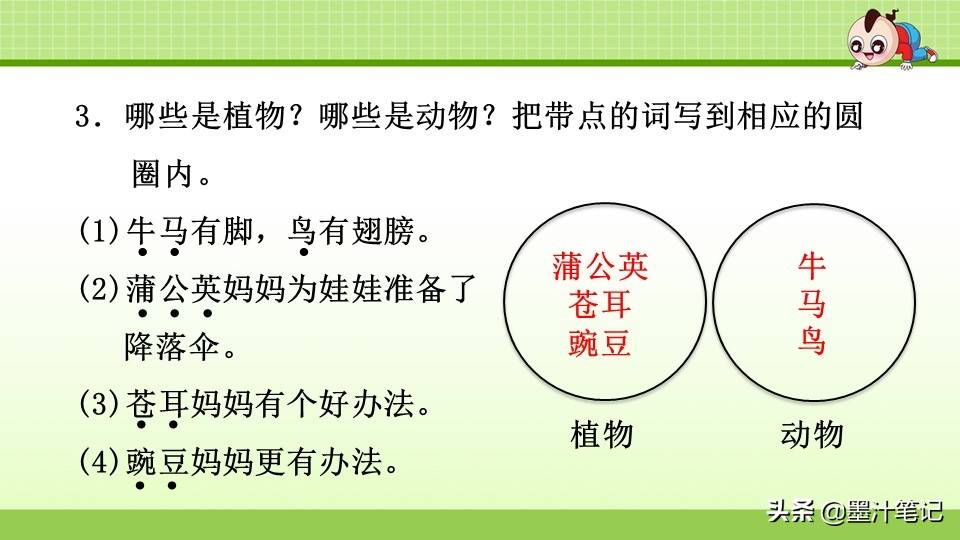 写植物传播种子的方法（植物种子有哪些传播方式）