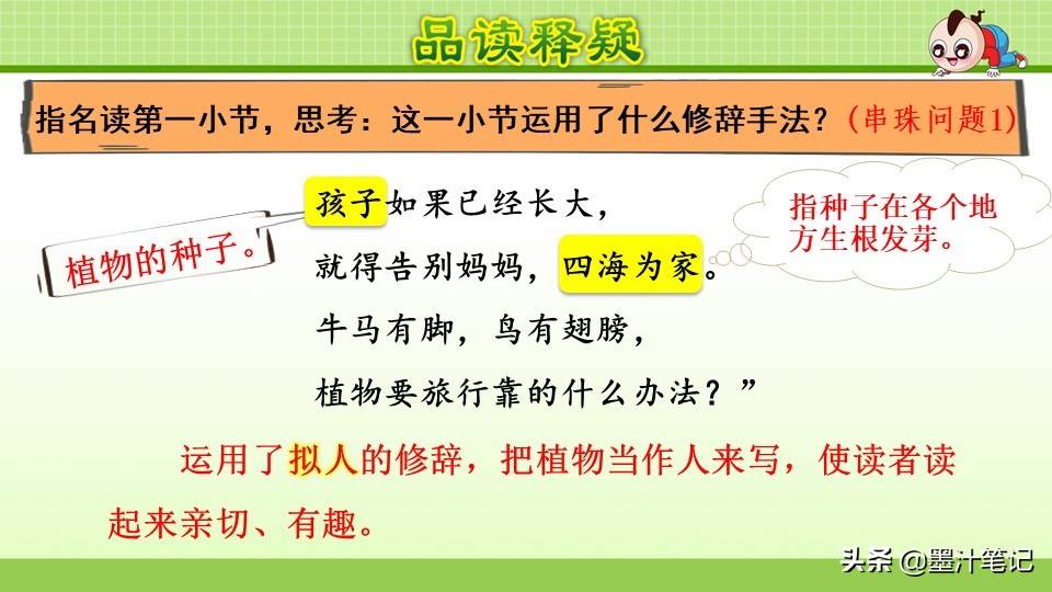 写植物传播种子的方法（植物种子有哪些传播方式）