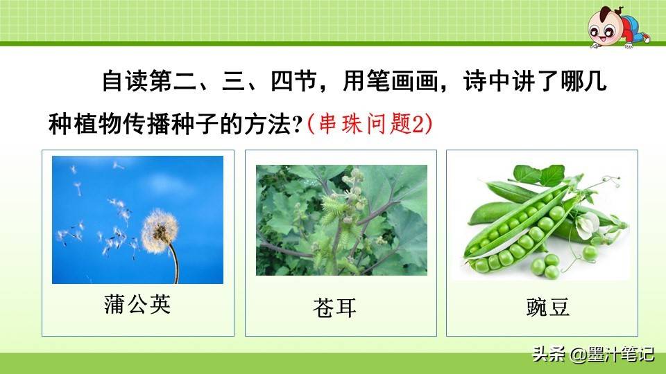 写植物传播种子的方法（植物种子有哪些传播方式）